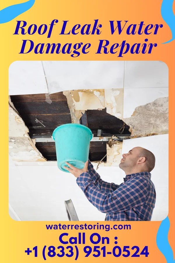 Roof Leak Water Damage Repair in Woodbury, GA